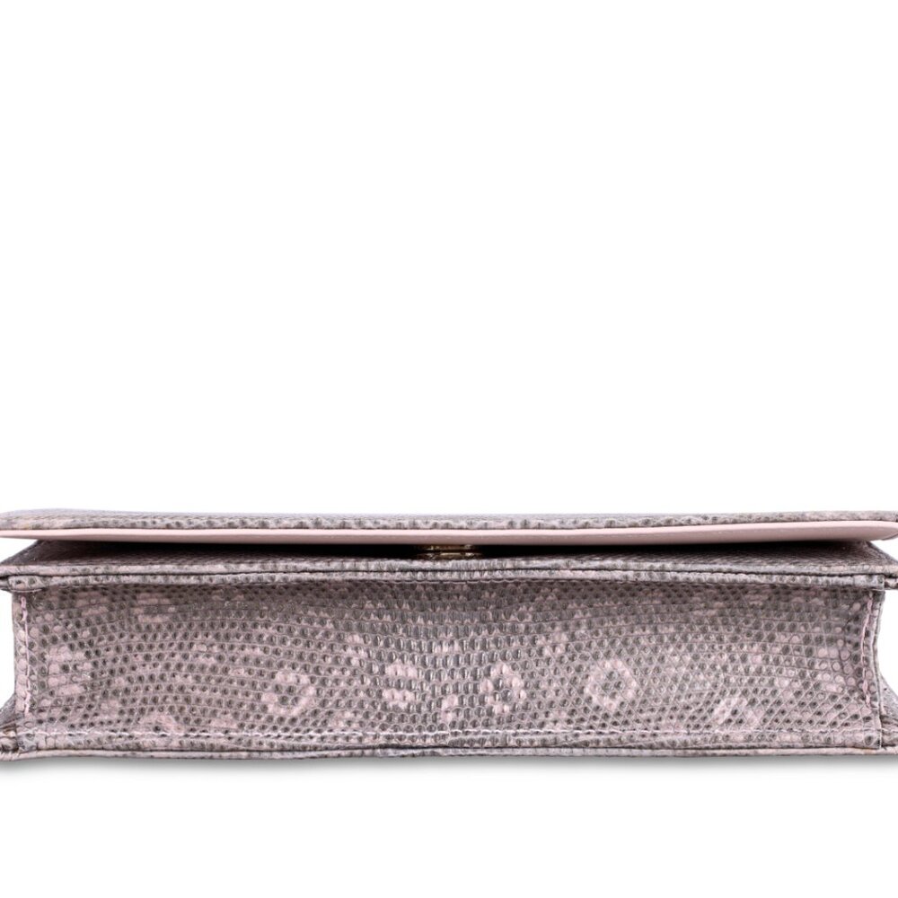 DIOR lizard AN IRIDESCENT CHAIN CLUTCH - Picture 6 of 7